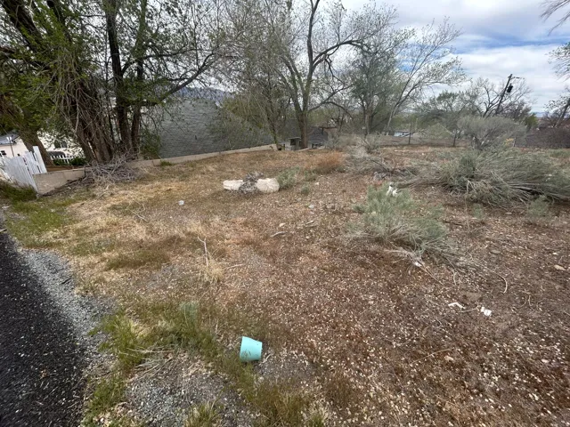 Expansive undeveloped lot featuring varied natural vegetation, mature trees, and a partial retaining wall