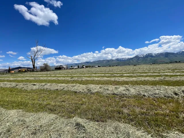 Expansive agricultural field with cut hay rows, surrounded by distant mountains with snow-capped peaks