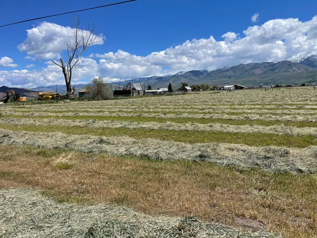 Expansive agricultural land featuring cut hay rows and distant mountain ranges