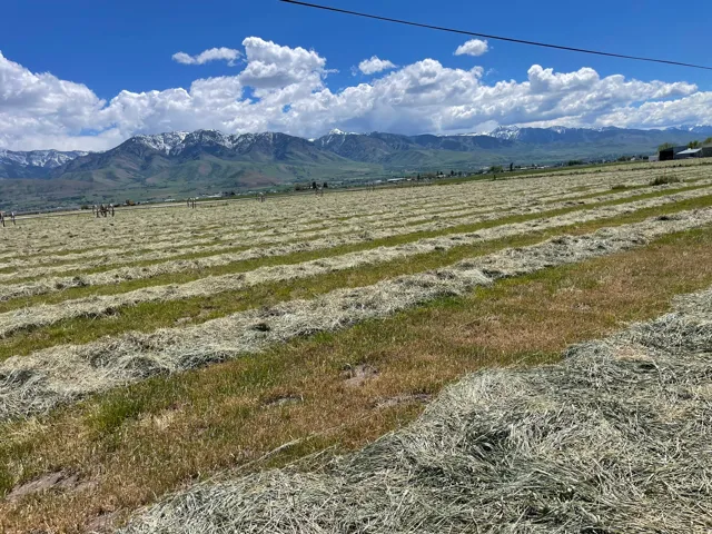 Expansive rural acreage featuring a large field with cut hay rows and distant snow-capped mountains