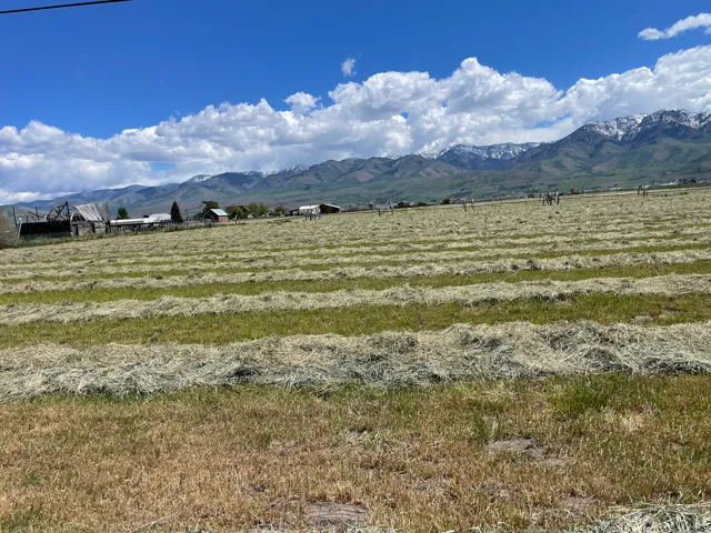 Expansive agricultural land featuring cut hay rows and distant mountain ranges with snow-capped peaks