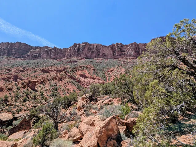 Expansive natural landscape featuring rugged red rock formations, varied desert flora, scattered boulders, and a clear blue sky