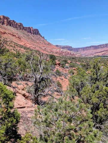 Expansive natural landscape featuring red rock formations and diverse desert flora