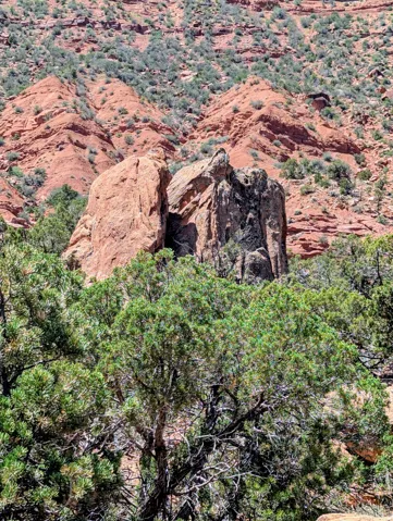 Natural desert landscape featuring vibrant green foliage and red rock formations