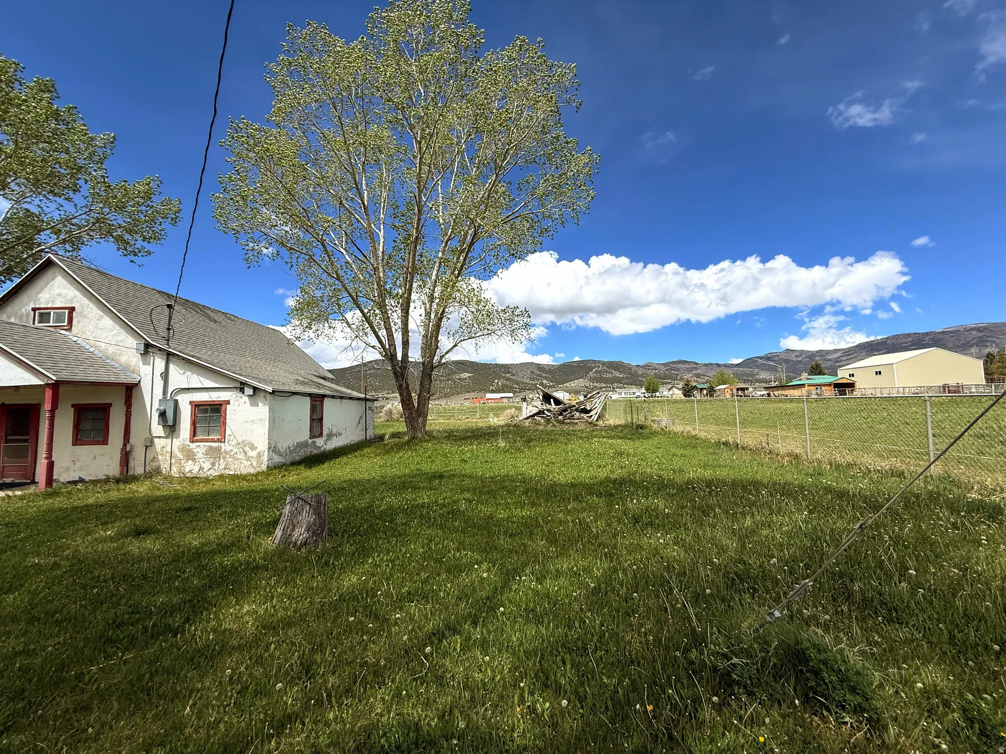 Expansive grassy yard with mature trees