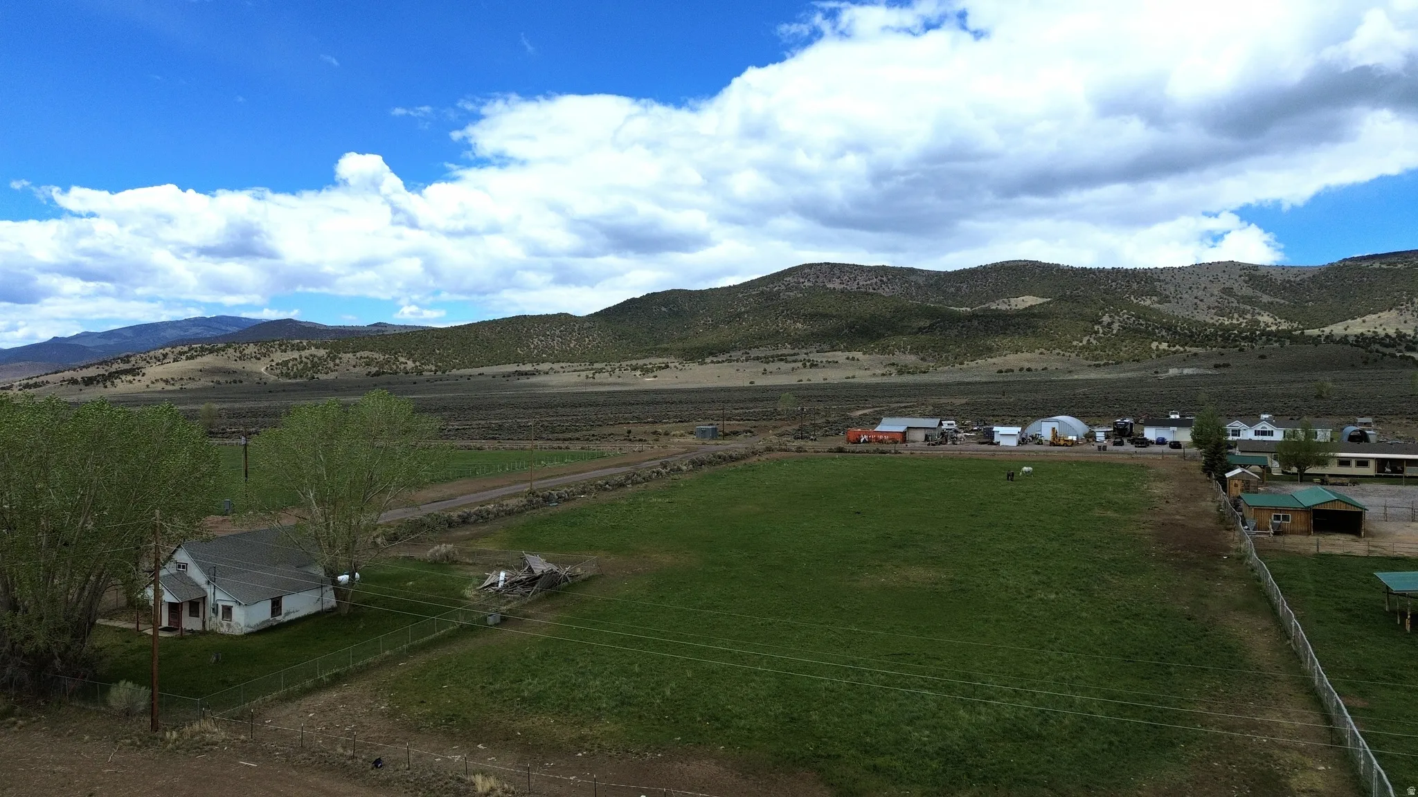Expansive green pastures with a distant mountain backdrop
