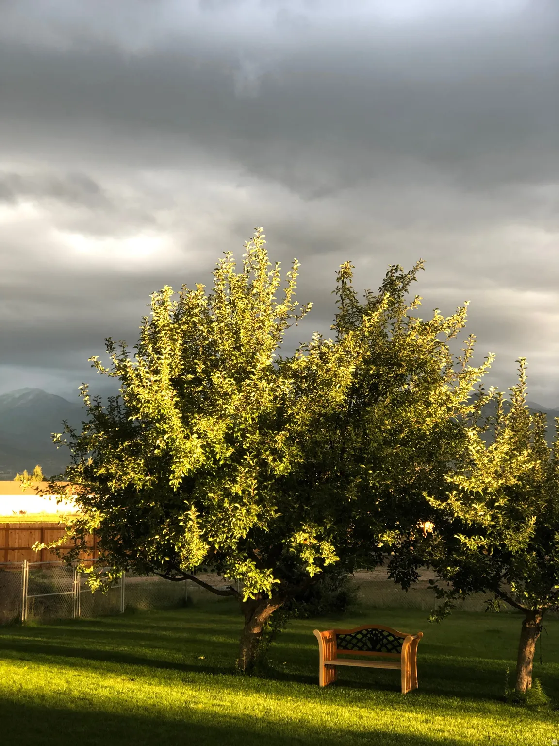 Expansive green lawn with mature trees and a mountain backdrop