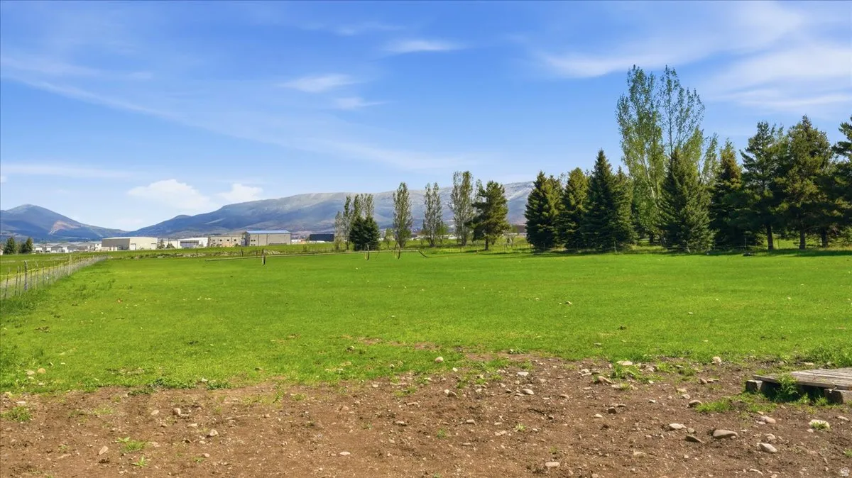 Expansive grassy parcel with mature evergreen and deciduous trees