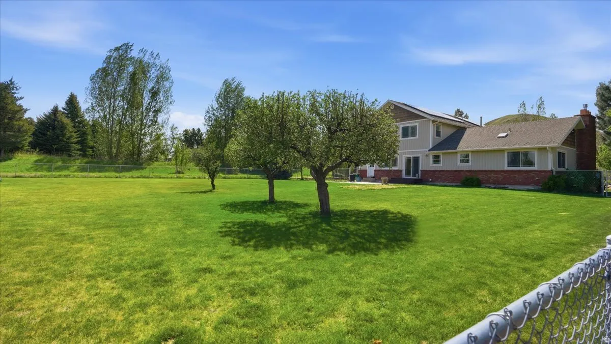 Expansive green lawn with mature trees and a chain-link perimeter fence