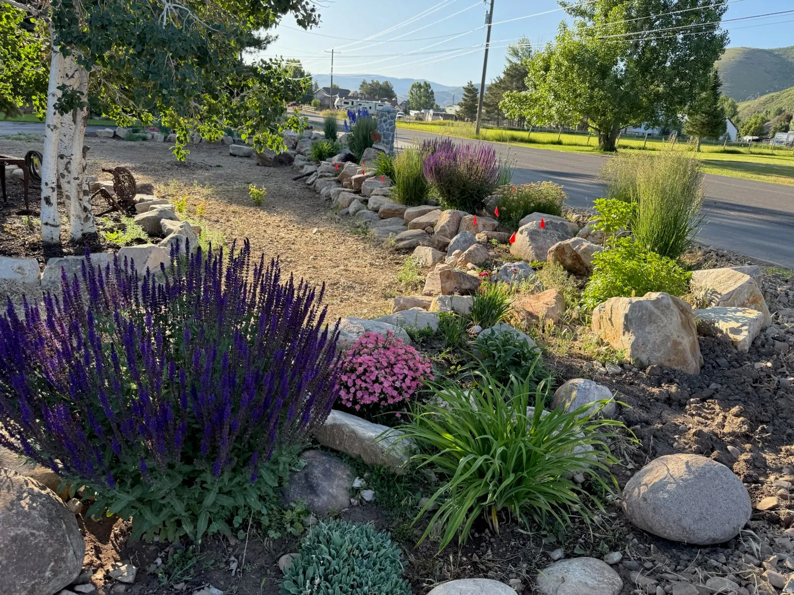 Landscaped front yard featuring rock garden elements and diverse plantings