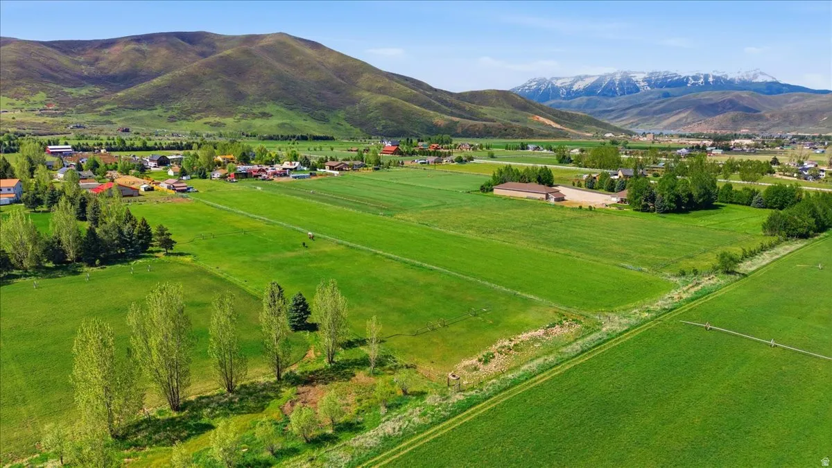 Expansive green fields with distant snow-capped mountains under a clear sky