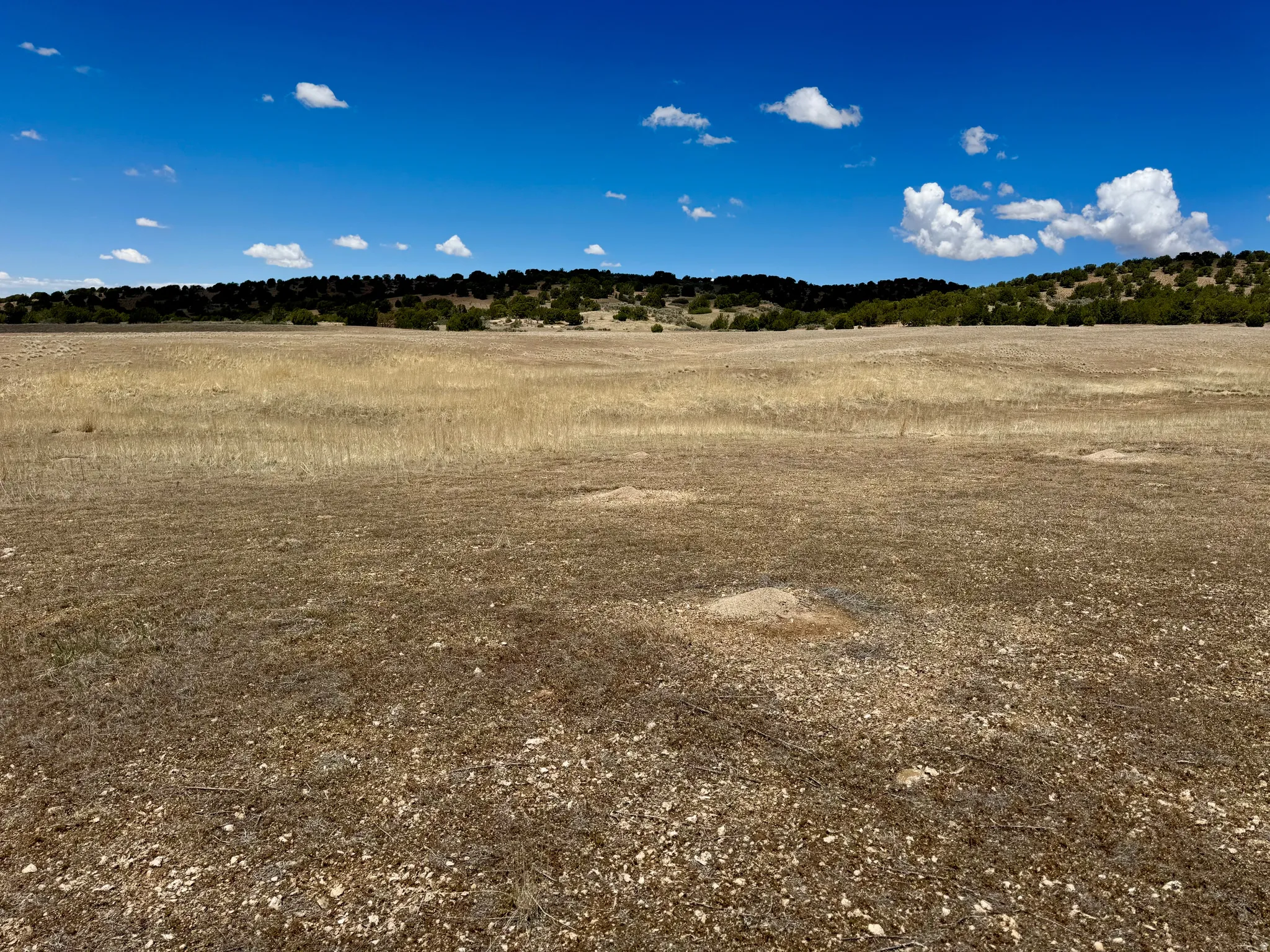 Expansive open terrain featuring natural vegetation, a clear blue sky with scattered clouds, and distant tree lines, 19.5 acres north of Fillmore, UT