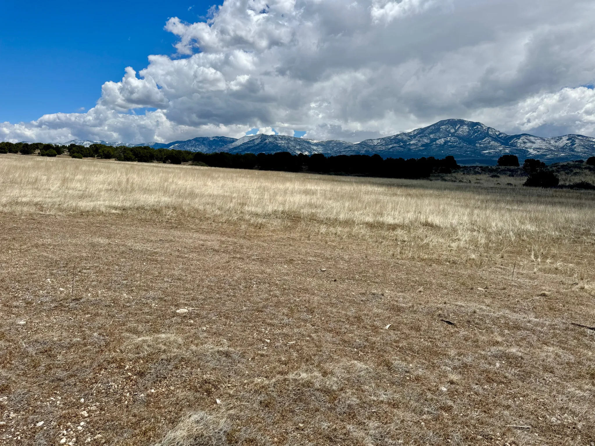 Expansive open field with natural grasses, featuring a distant mountain range with snow-capped peaks and a clear blue sky with white clouds, 19.5 acres north of Fillmore, UT