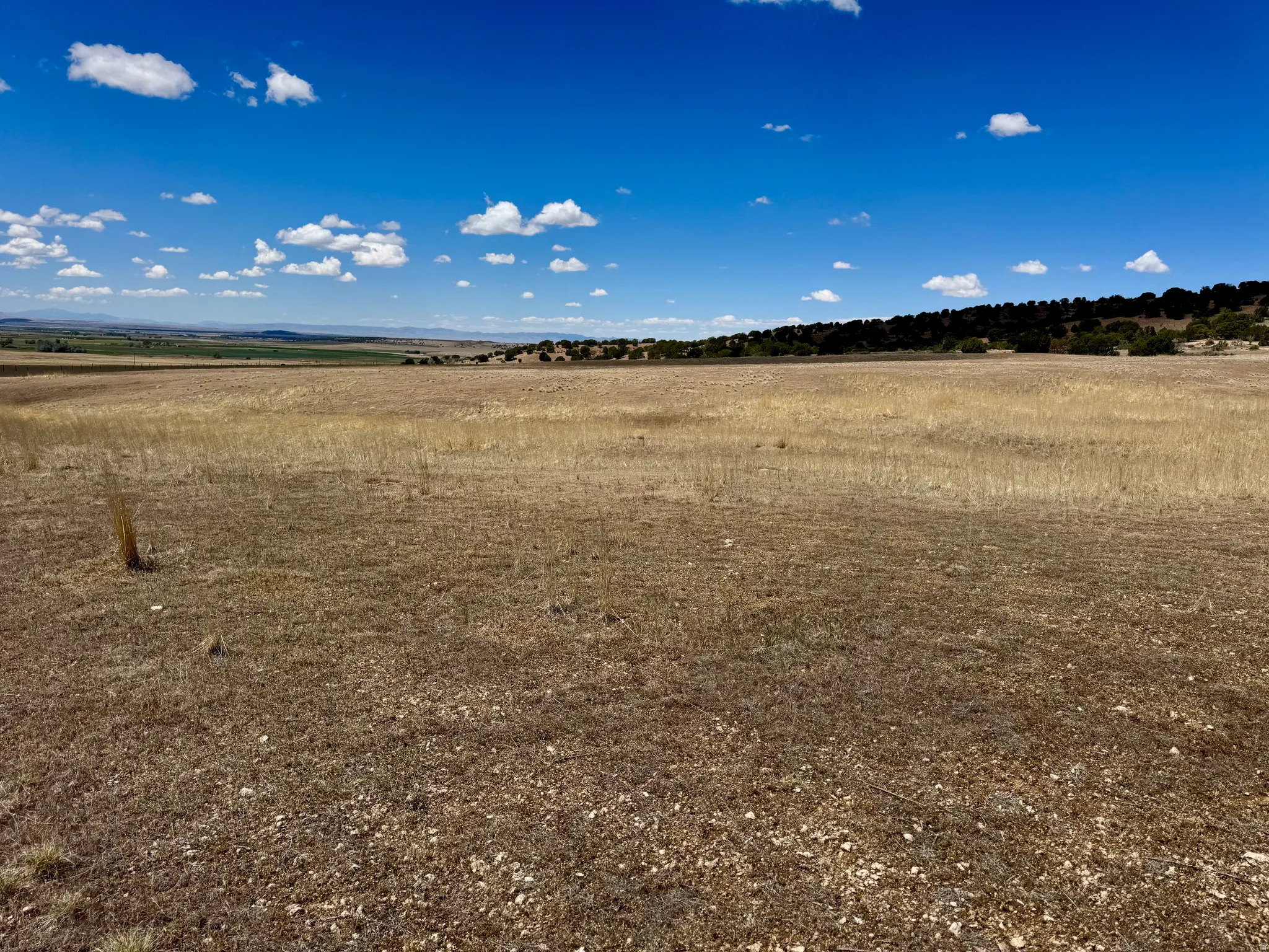 Expansive land parcel featuring natural grasses and distant tree lines, 19.5 acres north of Fillmore, UT
