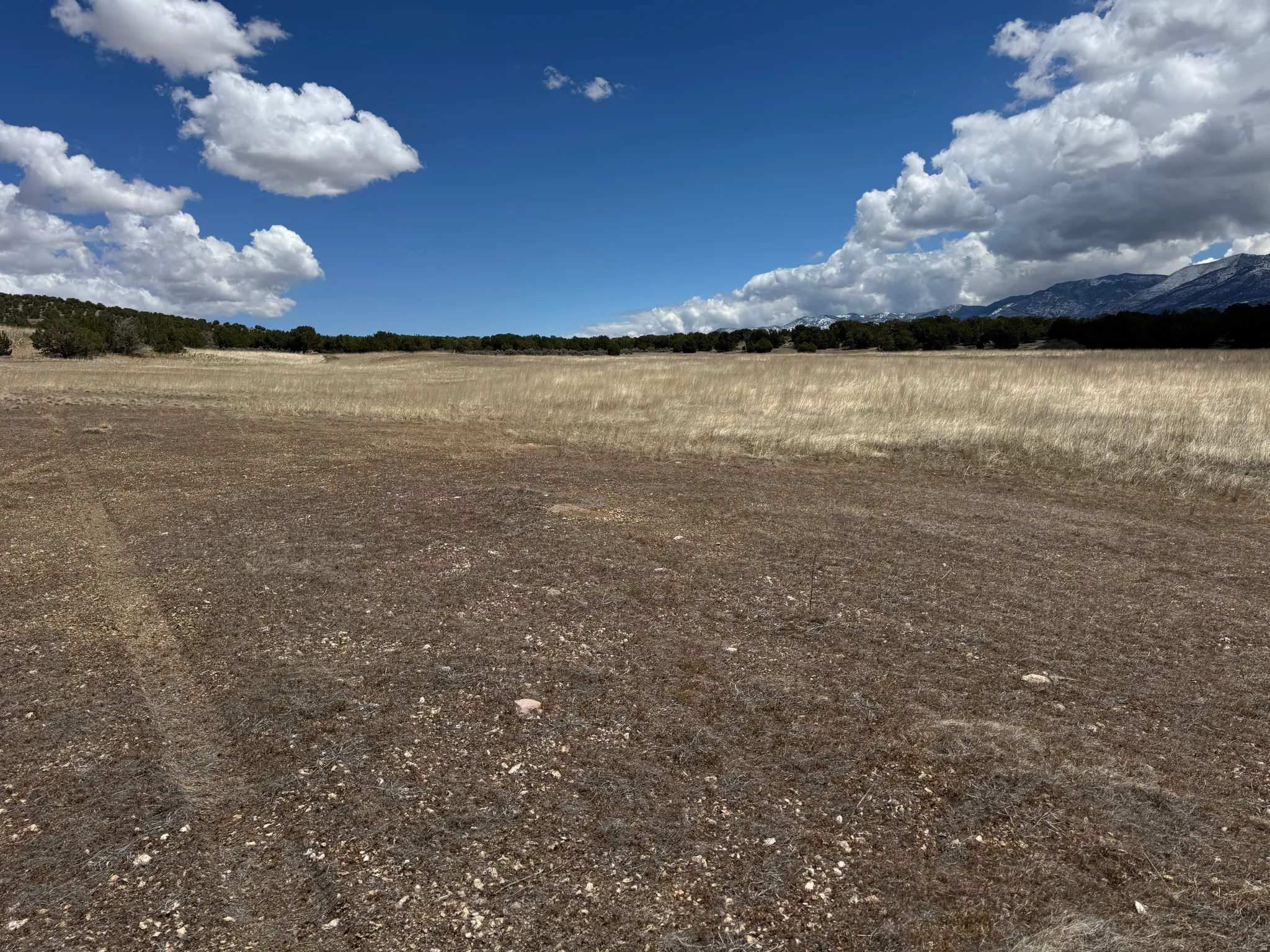 Expansive undeveloped land featuring a mix of natural grasses. 19.5 acres north of Fillmore, UT