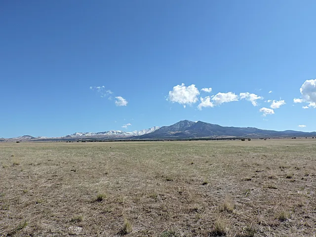 Expansive land parcel featuring natural grasses and distant snow-capped mountains under a clear sky