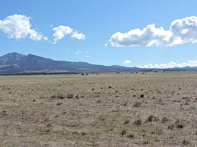 Expansive open field with natural vegetation and distant mountain backdrop