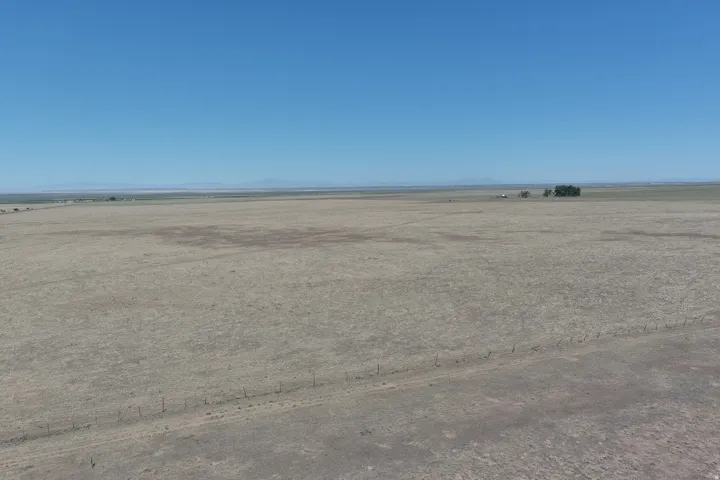 Expansive open land under a clear blue sky, featuring distant mountains and scattered trees