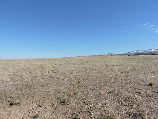Expansive open land with natural grasses, offering a clear horizon and distant mountain range with snow-capped peaks