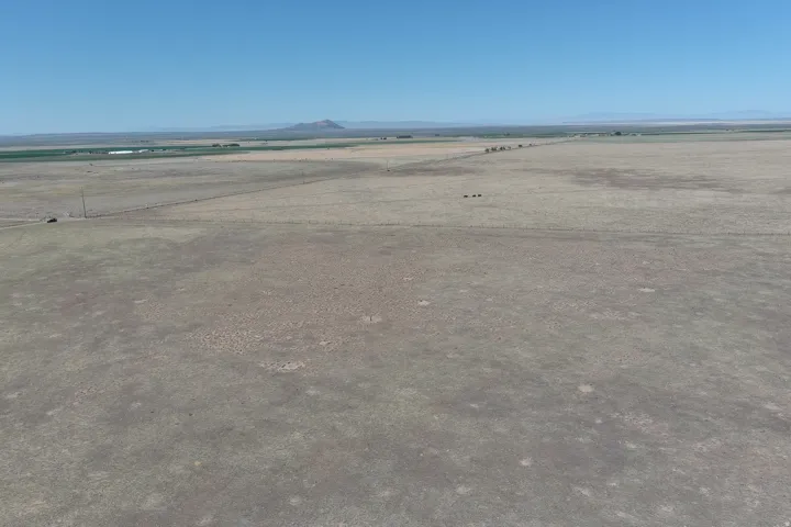 Expansive, undeveloped land under a clear sky
