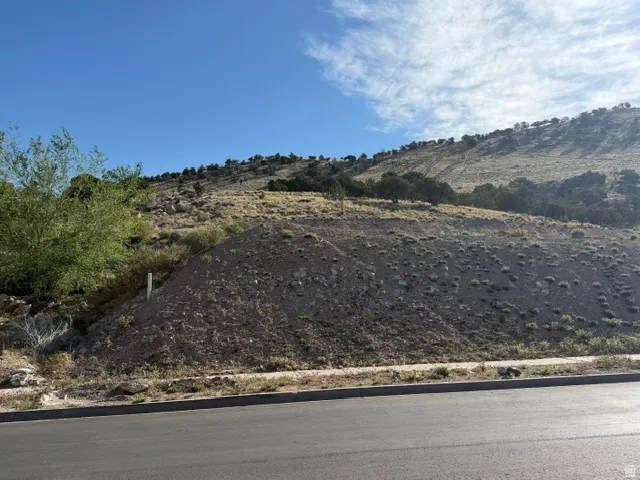 Sloping terrain with natural vegetation, bordered by a paved road and concrete curb.