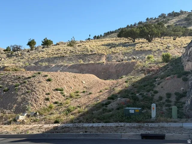Sloping terrain with natural rock formations, scattered evergreen trees, and sparse ground cover