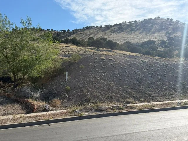 Sloping terrain with natural vegetation, bordered by a paved road and concrete curb.