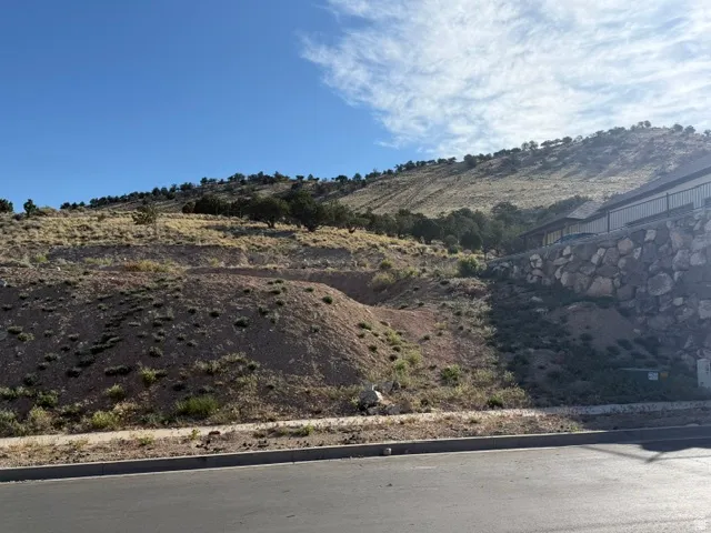 Sloping terrain with natural vegetation, bordered by a paved road and concrete curb.