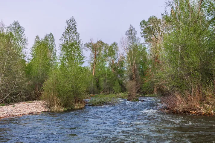 4445 N Millrace Rd, Oakley, Utah 84055