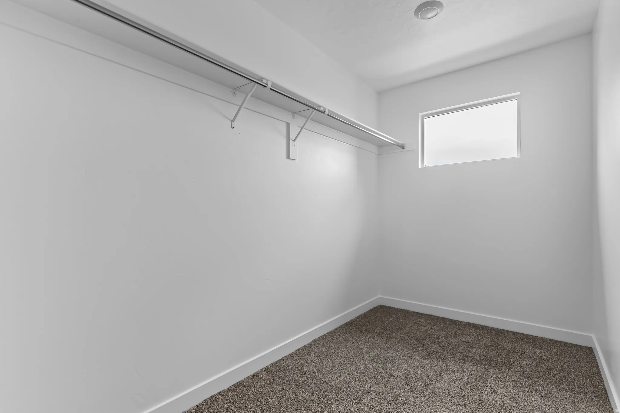 Walk-in closet featuring a built-in wire shelf and hanging rod, a high horizontal window, recessed ceiling lighting, and neutral carpet flooring