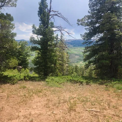 Elevated building site with mature evergreen trees and distant mountain views