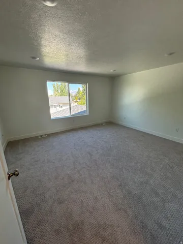 Recessed lighting illuminating the expansive carpeted flooring