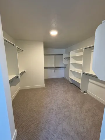 Spacious walk-in closet featuring built-in shelving, multiple hanging rods, recessed ceiling lighting, and carpet flooring