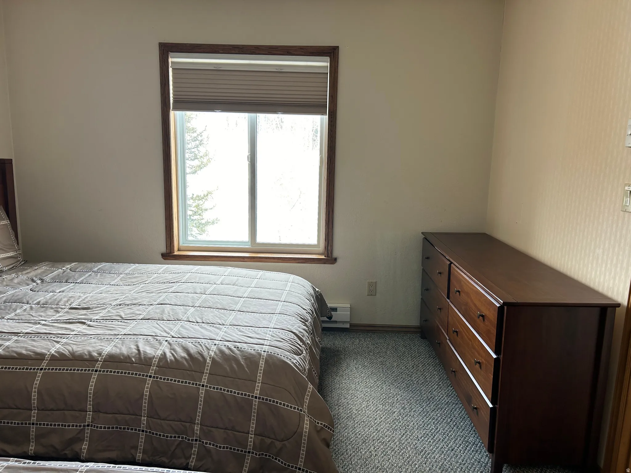 Carpeted interior space featuring a window with wood trim, cellular blinds, and a baseboard heater
