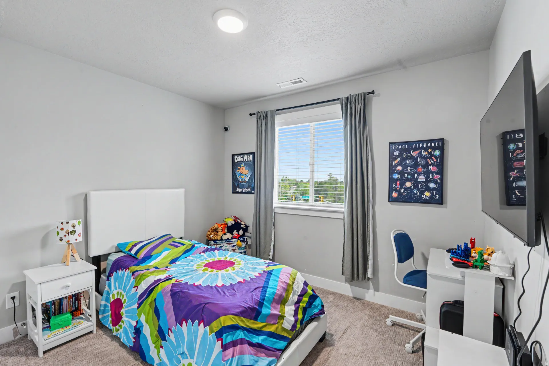 Spacious bedroom featuring light gray walls, plush carpet flooring, a large window with white blinds and gray drapes, and a flush-mount ceiling light fixture