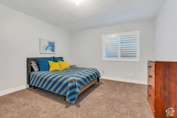 Basement carpeted bedroom