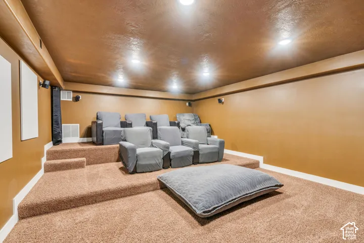 Home theater room with carpet and a textured ceiling
