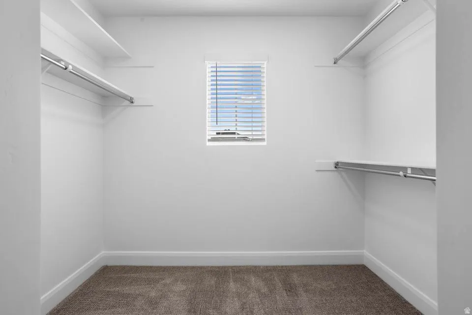 Carpeted closet with a window and white blinds