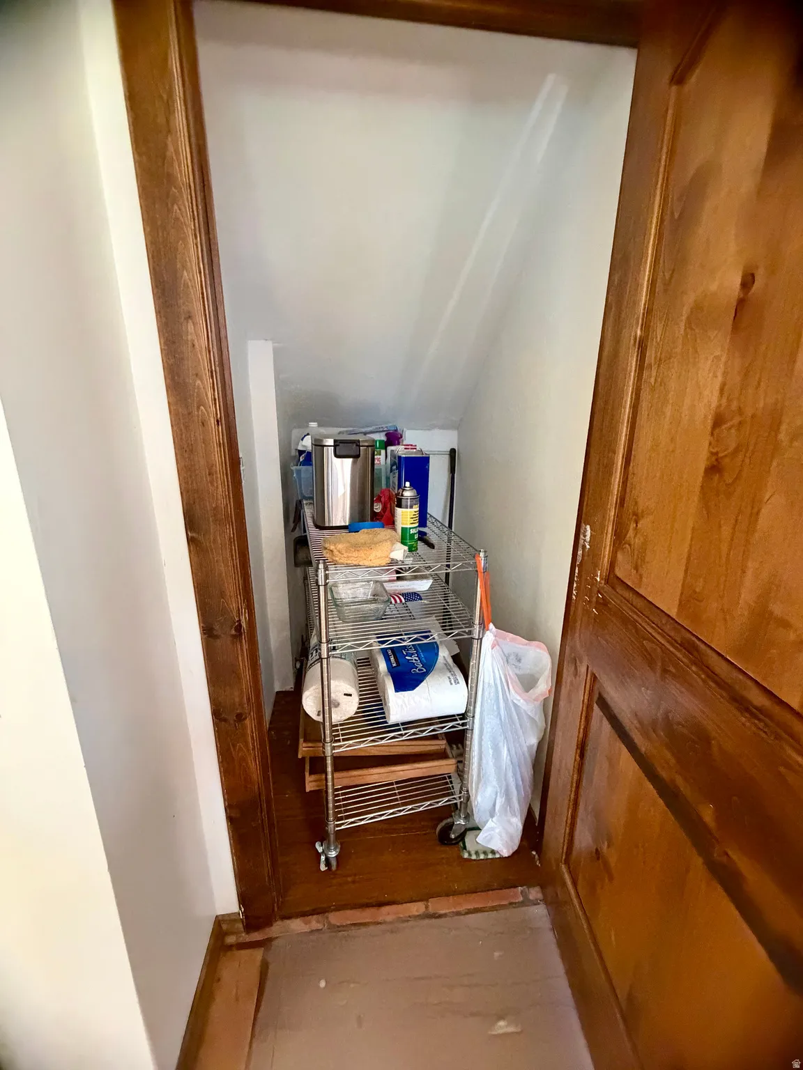 Wood-paneled door frame opening to an interior storage space with wood-finish flooring