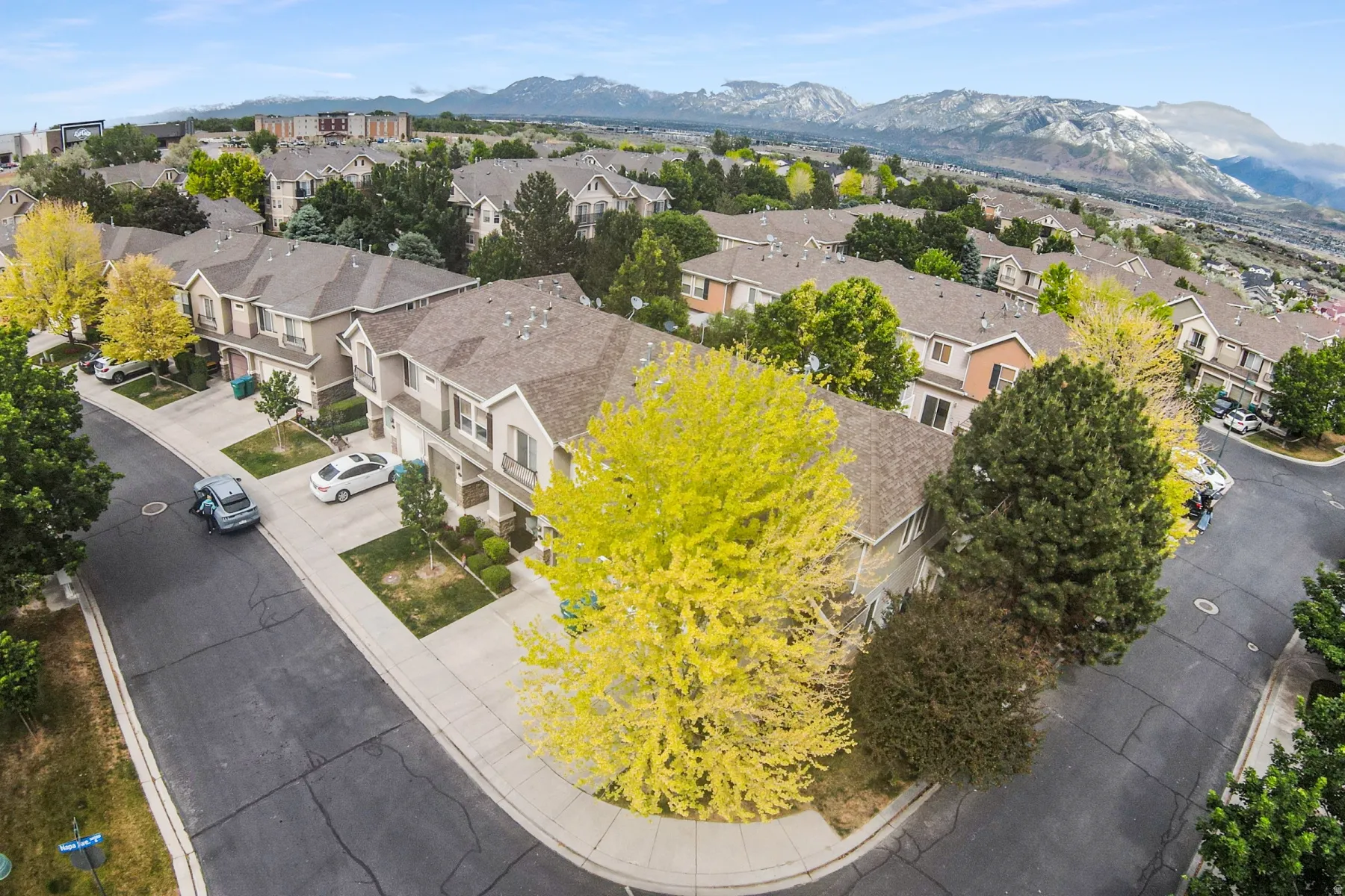 Aerial perspective of a residential community with townhomes and mature trees