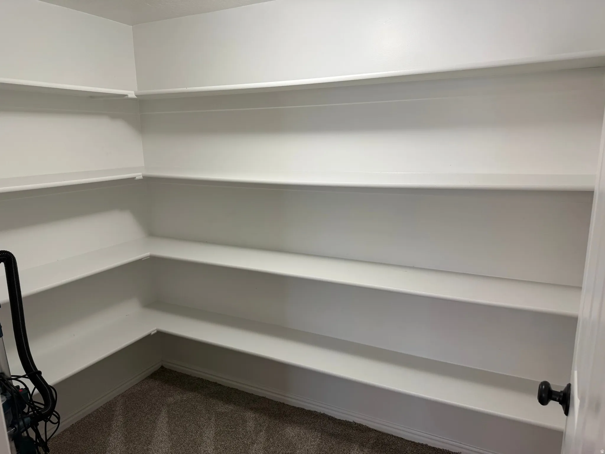 Expansive pantry featuring tiered shelving