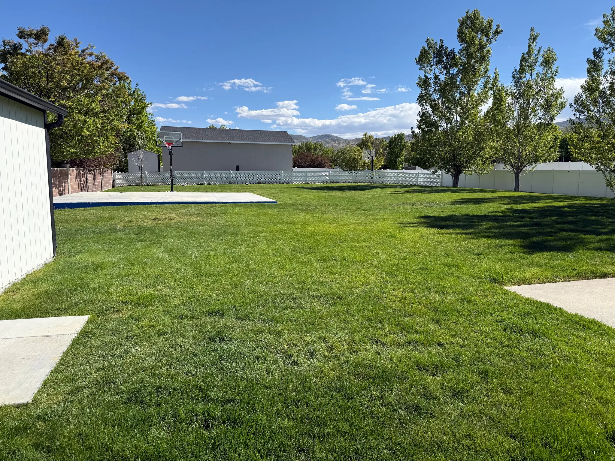 Expansive rear yard featuring a large grass area, mature trees, and concrete patio