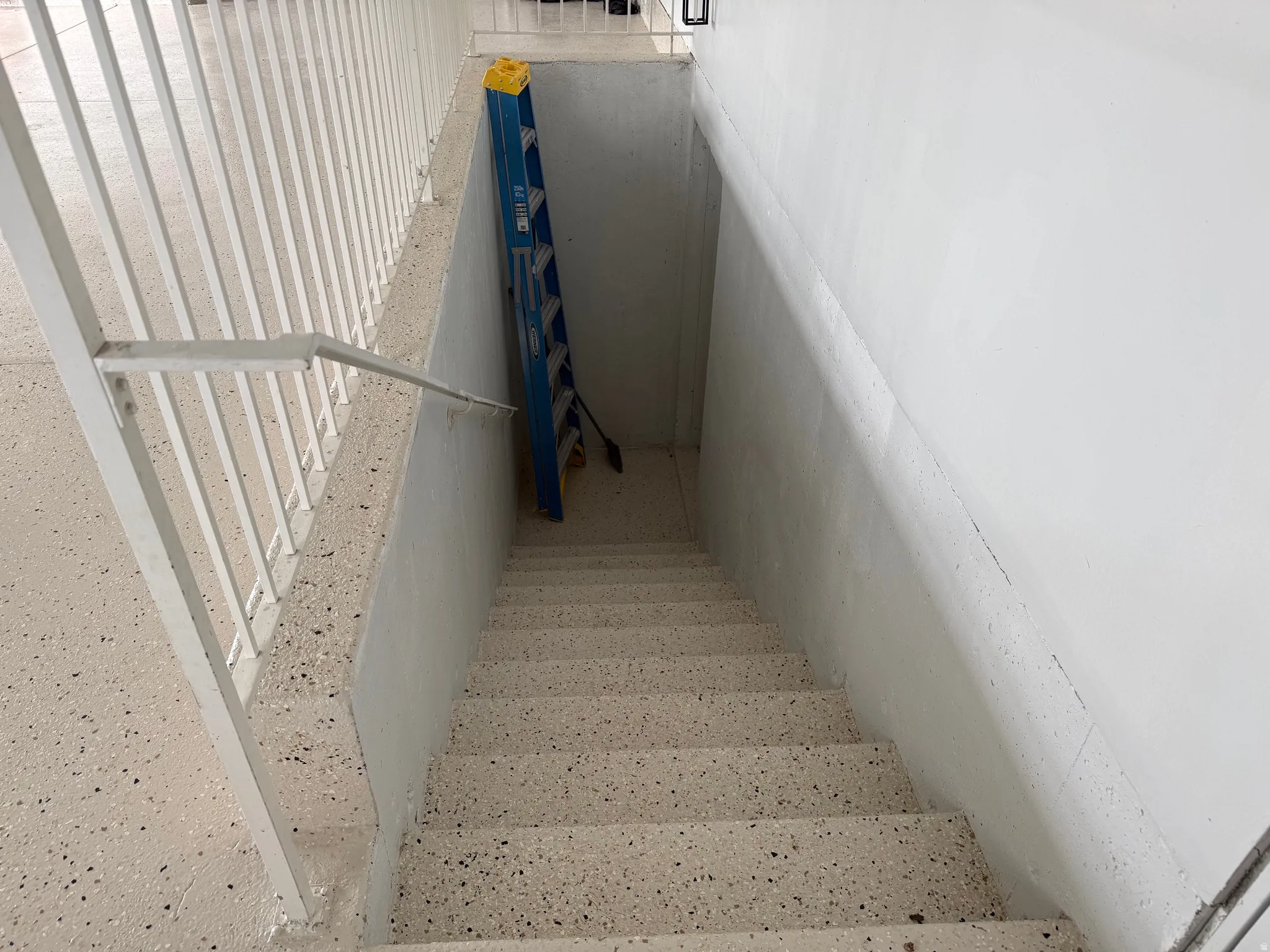 Basement entrance through garage. Concrete staircase with speckled terrazzo-style treads and risers