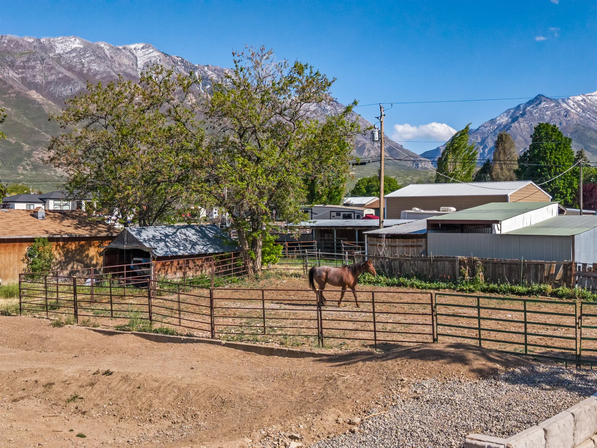 Expansive fenced animal enclosure with a rustic wooden shed, mature trees, and mountainous terrain in the background