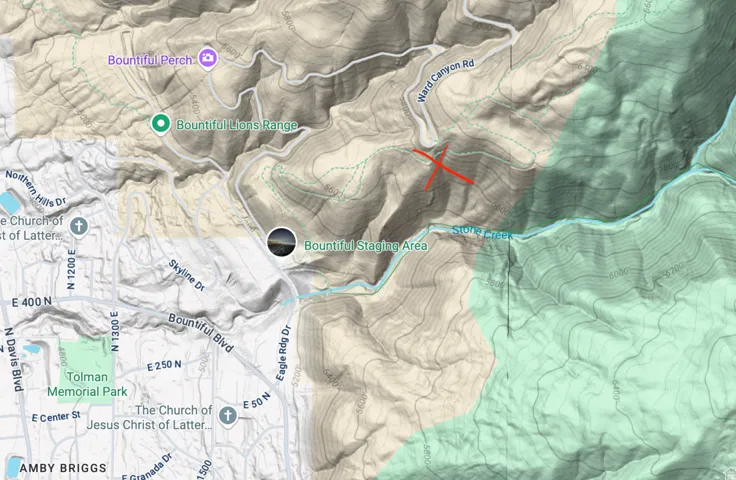Topographic Map. Illustrating terrain features and marked locations within the depicted area