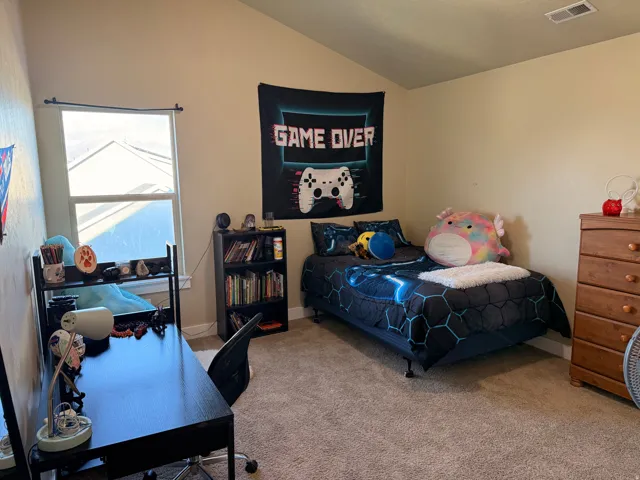 Carpeted room featuring a single window and vaulted ceiling