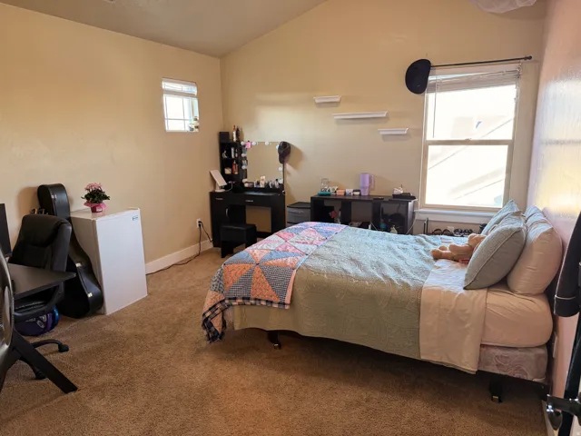 Carpeted bedroom featuring a large window, a smaller upper window, and light-toned wall finishes