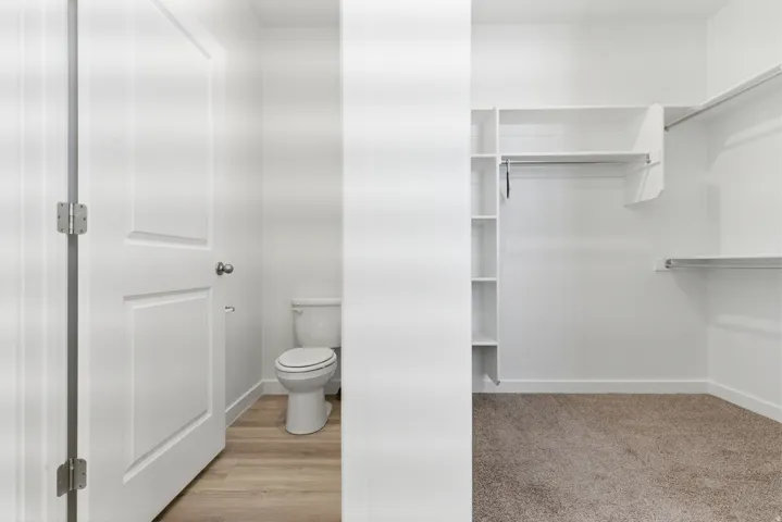 Walk-in closet featuring carpet flooring, built-in shelving, and hanging rods