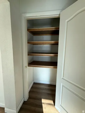 HALLWAY STORGE CLOSET- Built-in shelving with four storage levels, wood-finish flooring, and a paneled door