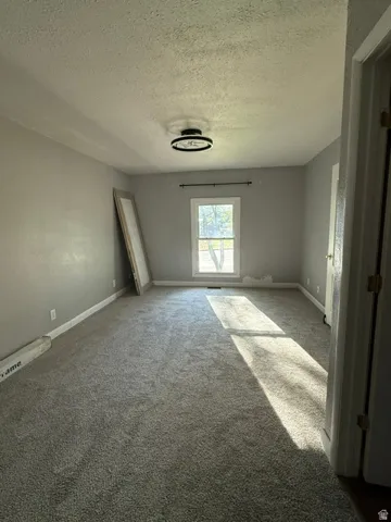 MASTER BEDROOM-Textured carpeting, light gray wall paint, window with exterior landscape, and a ceiling-mounted light fixture